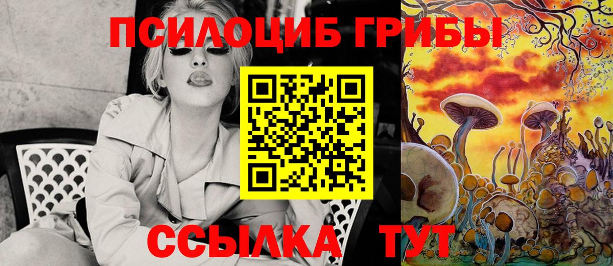 Чайковский  Галлюциногенные грибы Psilocybe  Вход с VPN 